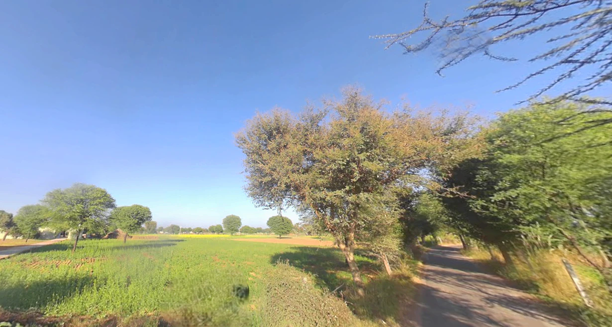 Nangal Kalan, Rajasthan 303712, India