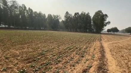 CCRR+XH Nagda, Ujjain, Madhya Pradesh, India