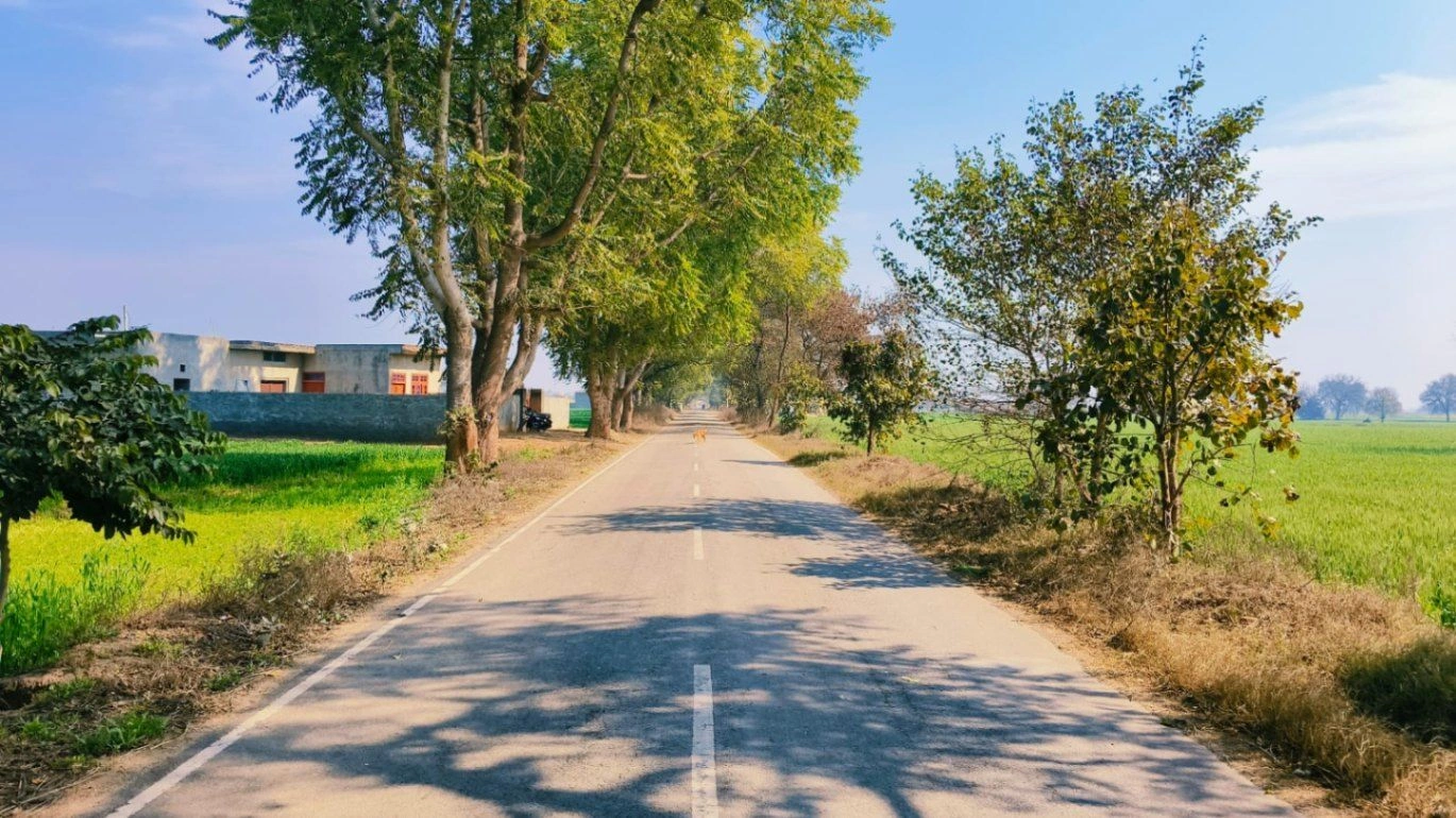 Kaimri, Haryana 125005, India preview 2