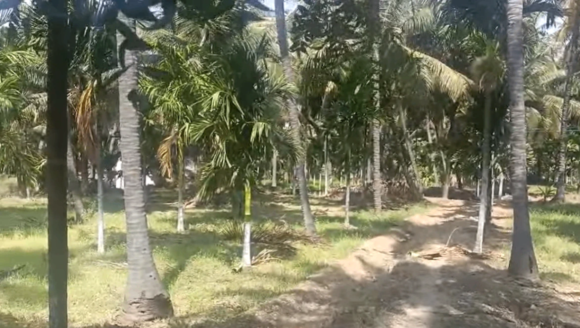 Hiriyur, Karnataka, India