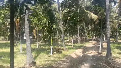 Hiriyur, Karnataka, India preview 2