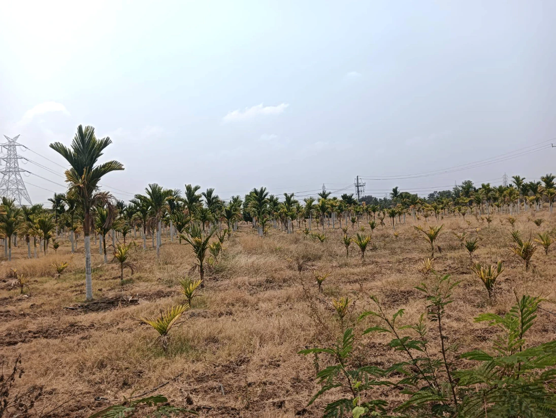Hiriyur, Karnataka, India