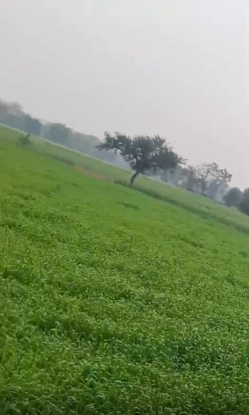 FMC3+6V Nohri Kalan, Shivpuri, Madhya Pradesh, India preview 2