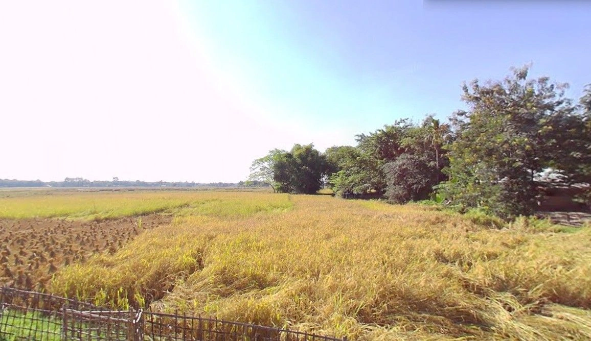 783W+3HV, Morigaon, Assam 782105, India preview 3