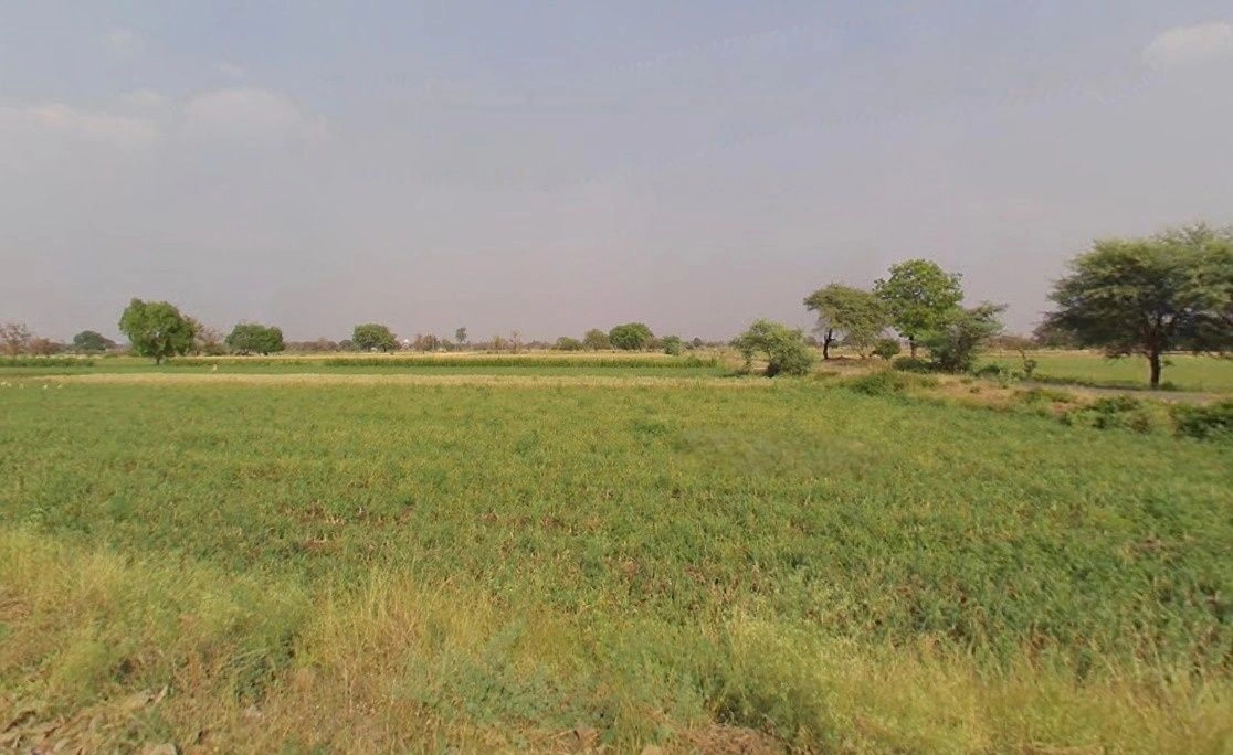 786R+PP9, Banderbela, Madhya Pradesh 456313, India preview 2