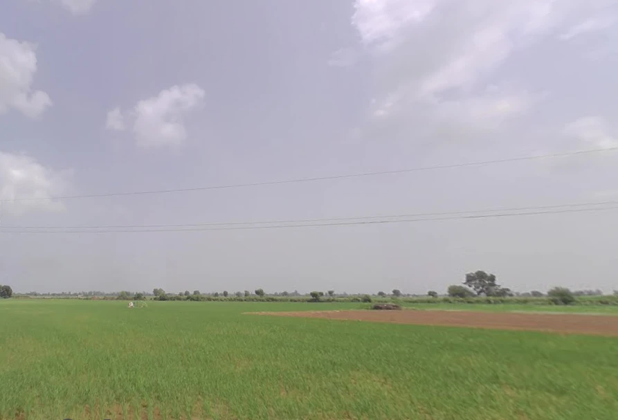 Meham, Haryana 124112, India