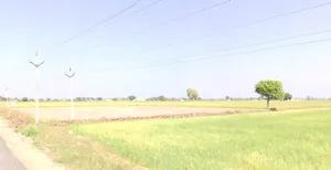 Gopisur Satkunda, Madhya Pradesh, India preview 3