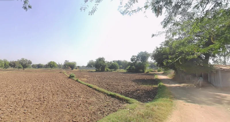 Methan, Gujarat 363310, India preview 2