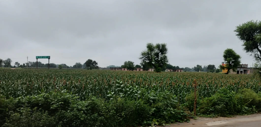 Nurpur Bedi, Punjab 140117, India