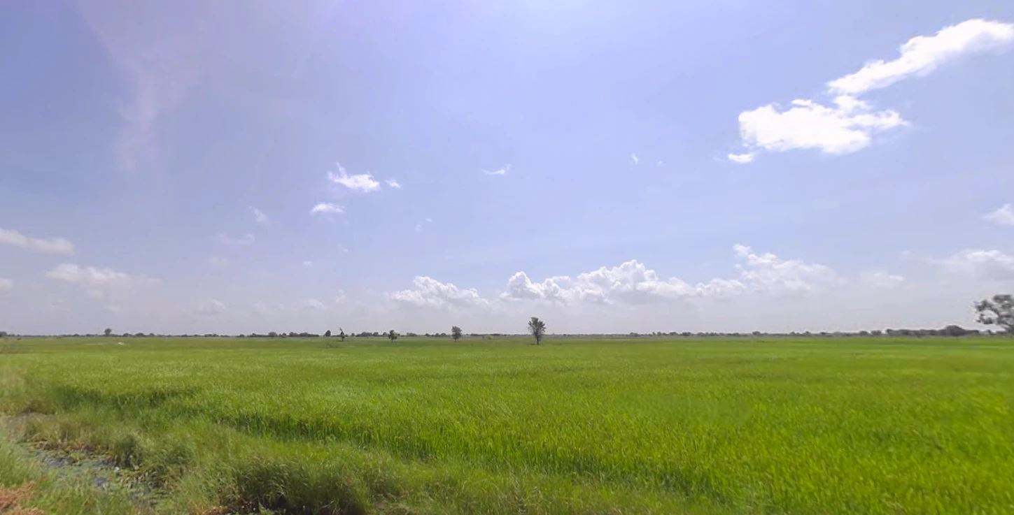 855M+Q3 Saidham, Maharashtra, India