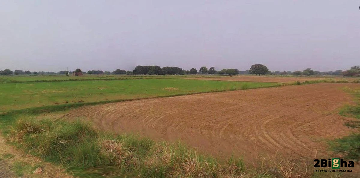 Muskara, Uttar Pradesh 210506, India