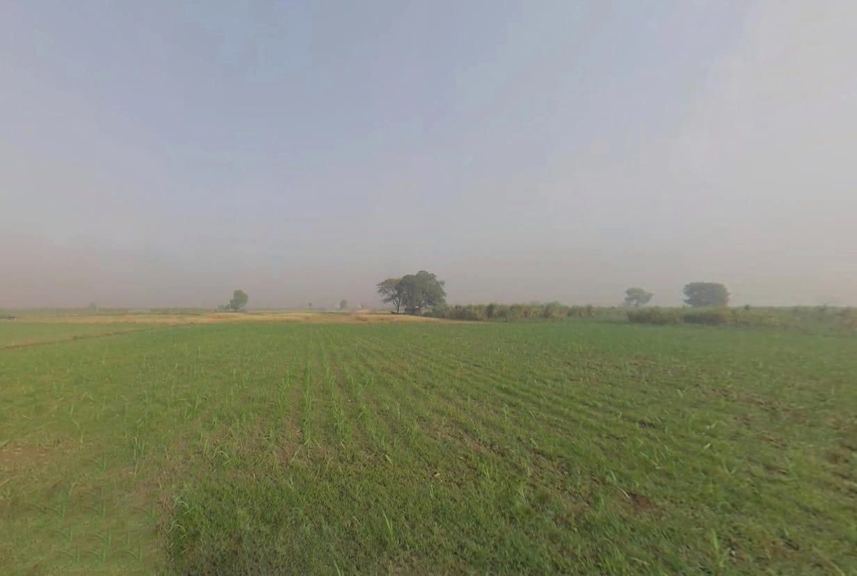 QHWV+6X Jahangirpur, Uttar Pradesh, India