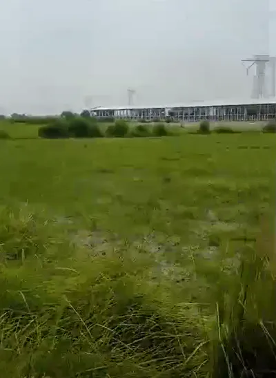 Pali, Bihar 801109, India preview 2