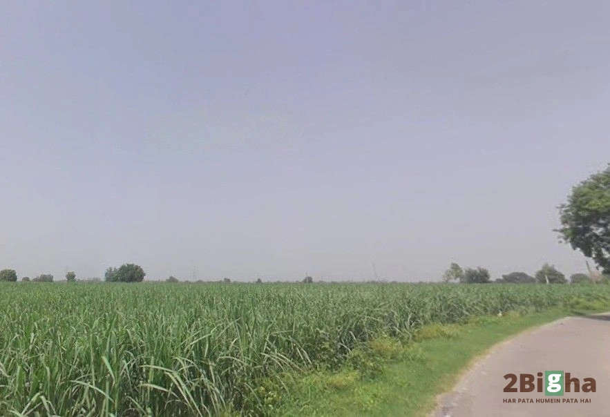 Pithlokar, Uttar Pradesh 250342, India