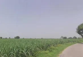 Pithlokar, Uttar Pradesh 250342, India preview 2