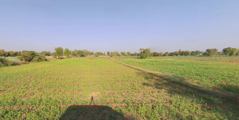 Hansalpur, Gujarat 382150, India preview 2