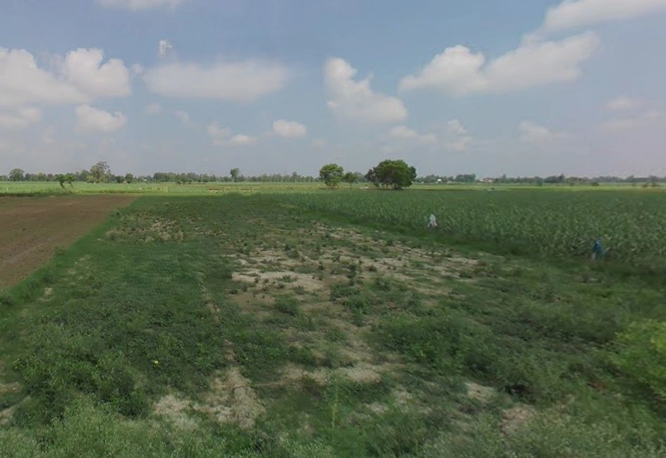 Bareilly, Uttar Pradesh, India