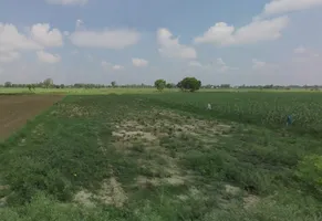 Bareilly, Uttar Pradesh, India preview 3