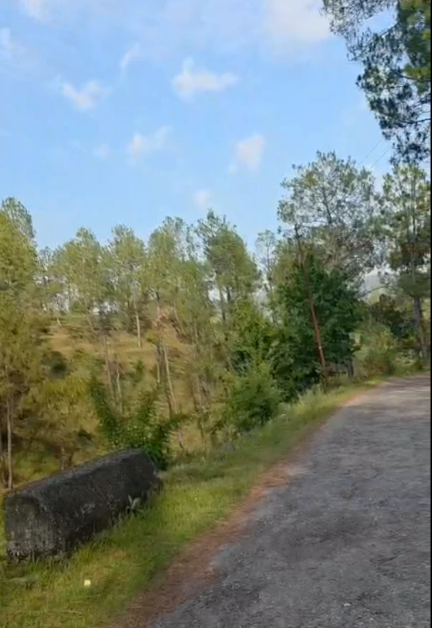 Seema Dwar, Dehradun, Uttarakhand, India