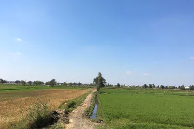 HQ8V+H2 Chowki, Rajasthan, India preview 2