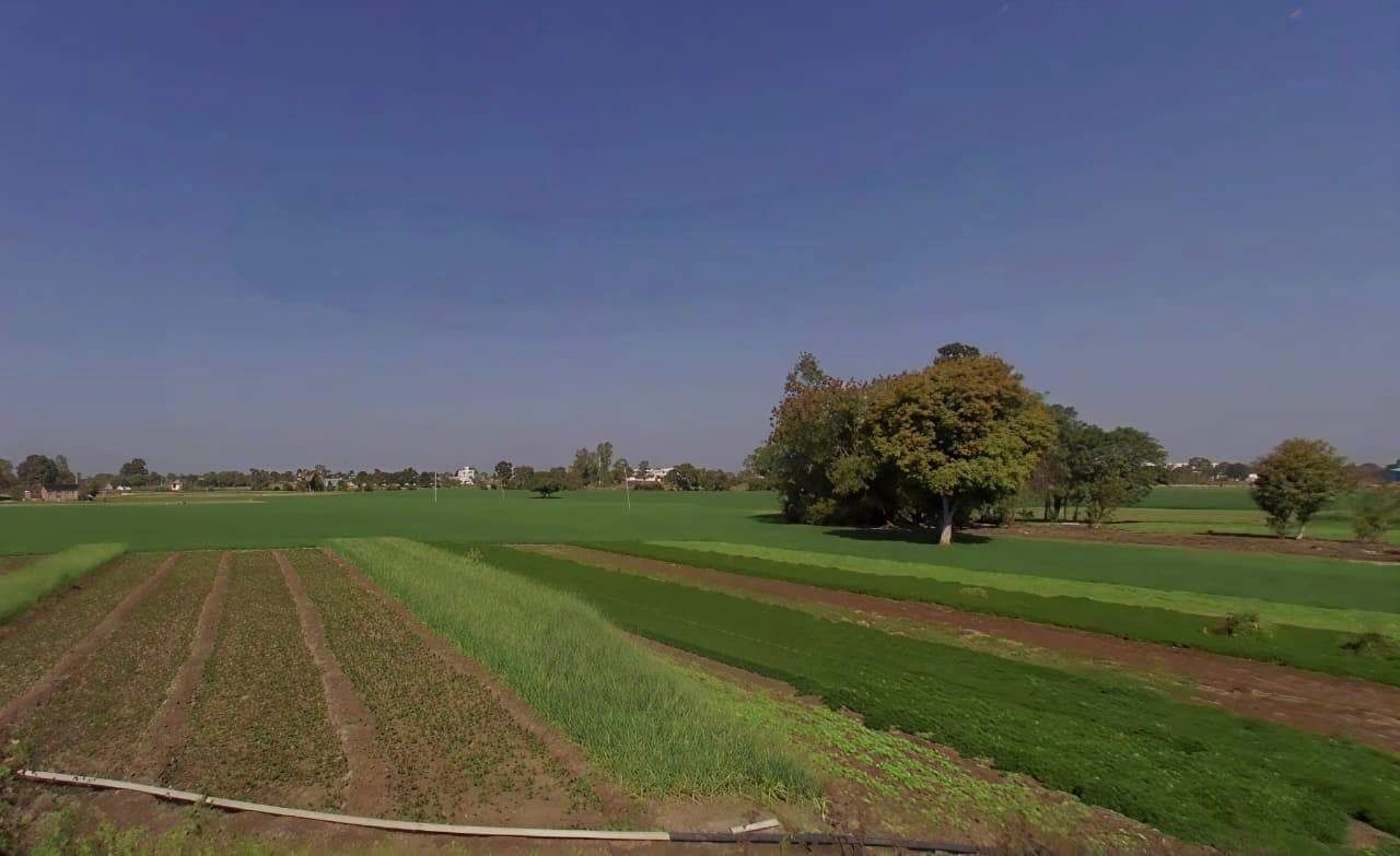 Lambakheda, Madhya Pradesh 462038, India