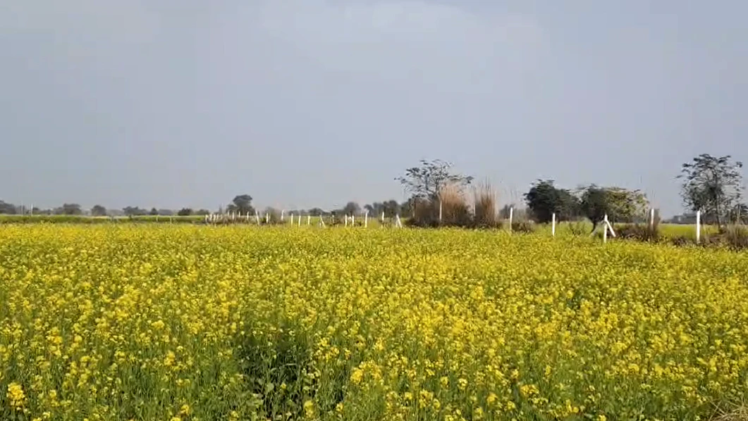 Bhawanpura, Rajasthan 321405, India