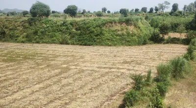 Sapror, Punjab, India preview 3