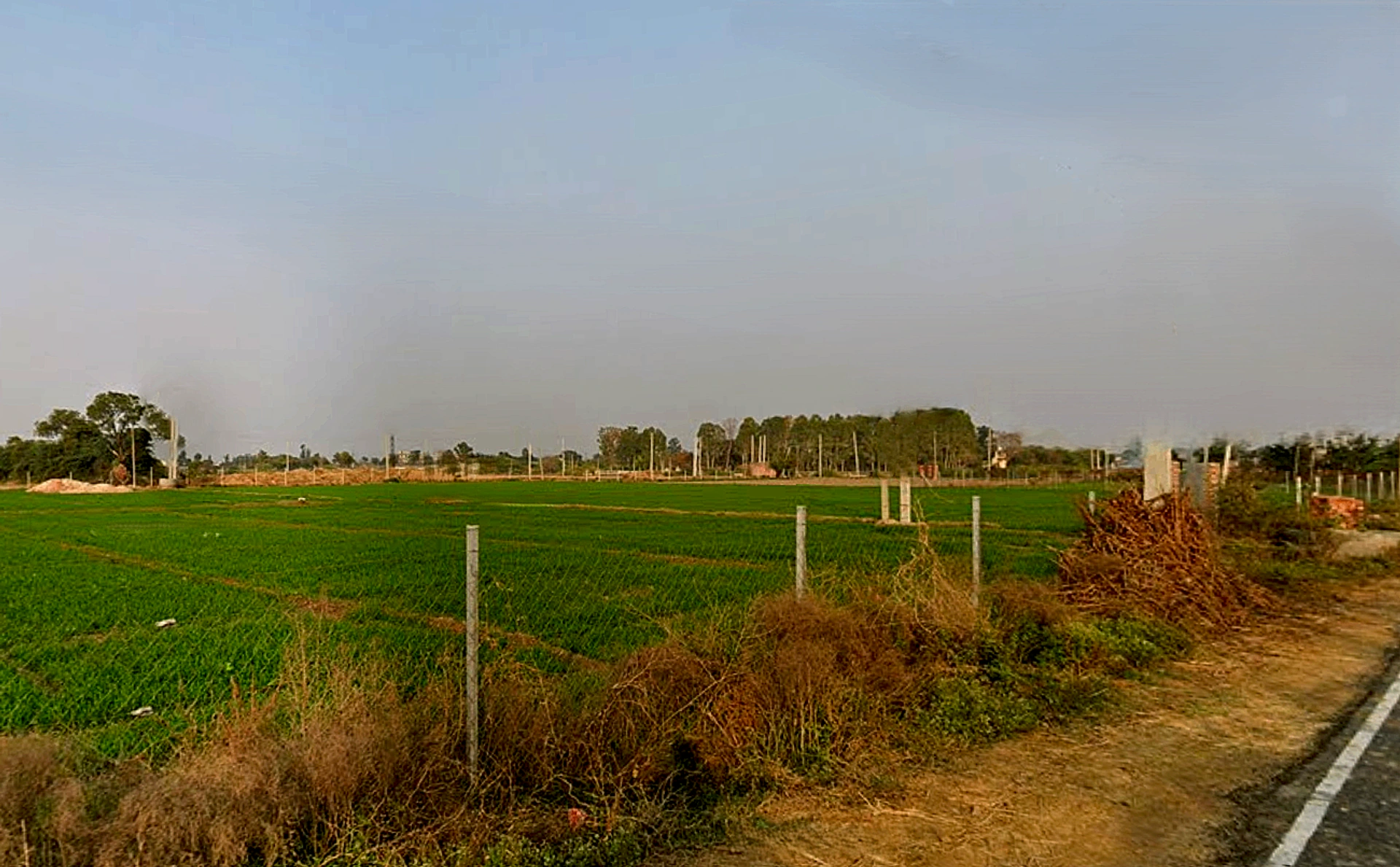 Chang, Haryana 127027, India