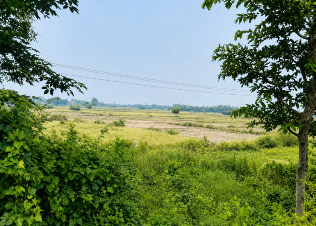 Kasturba Gram, Indore, Madhya Pradesh 452020, India