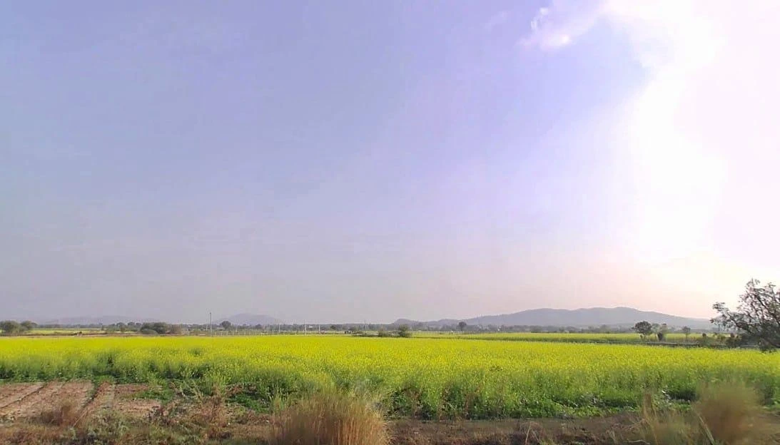 Tonk Rd, Kushtala, Rajasthan 322001, India