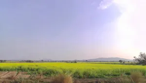 Tonk Rd, Kushtala, Rajasthan 322001, India preview 2