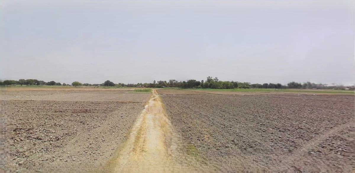 Sonipat, Haryana, India