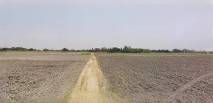 Sonipat, Haryana, India preview 3