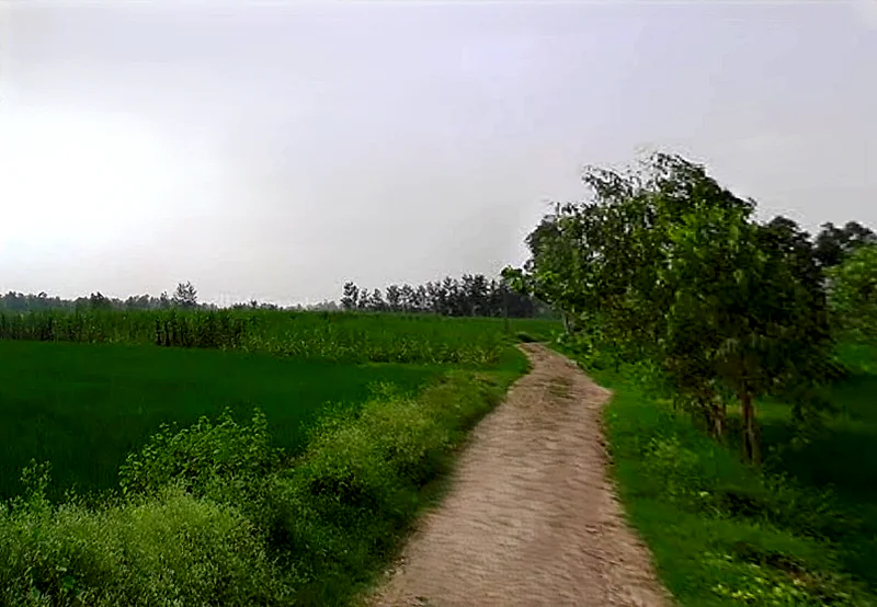 Chataki, Uttar Pradesh 247121, India preview 2