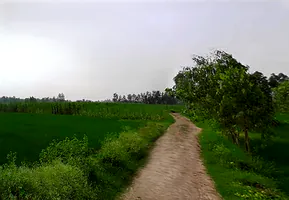 Chataki, Uttar Pradesh 247121, India preview 2
