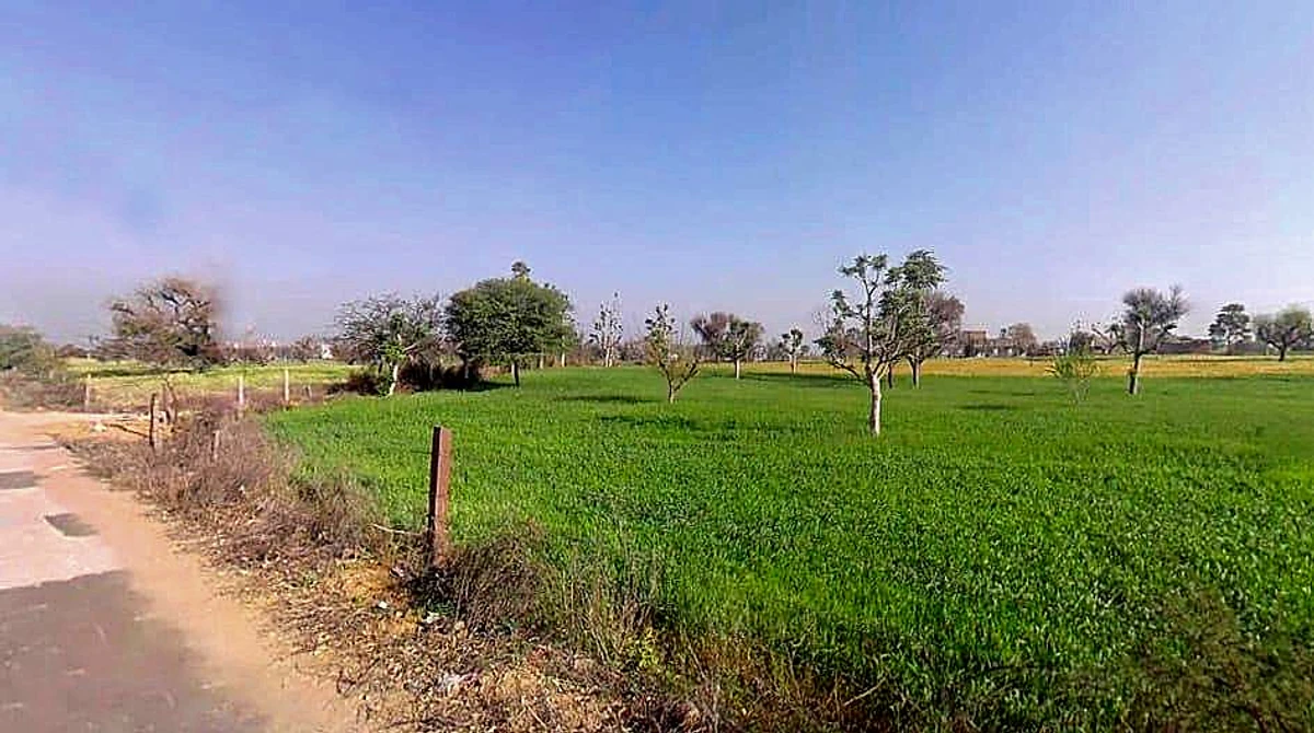 4X8Q+62V, Dheengpur, Rajasthan 332601, India