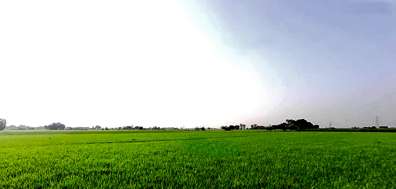 Rajpura, Punjab, India preview 3