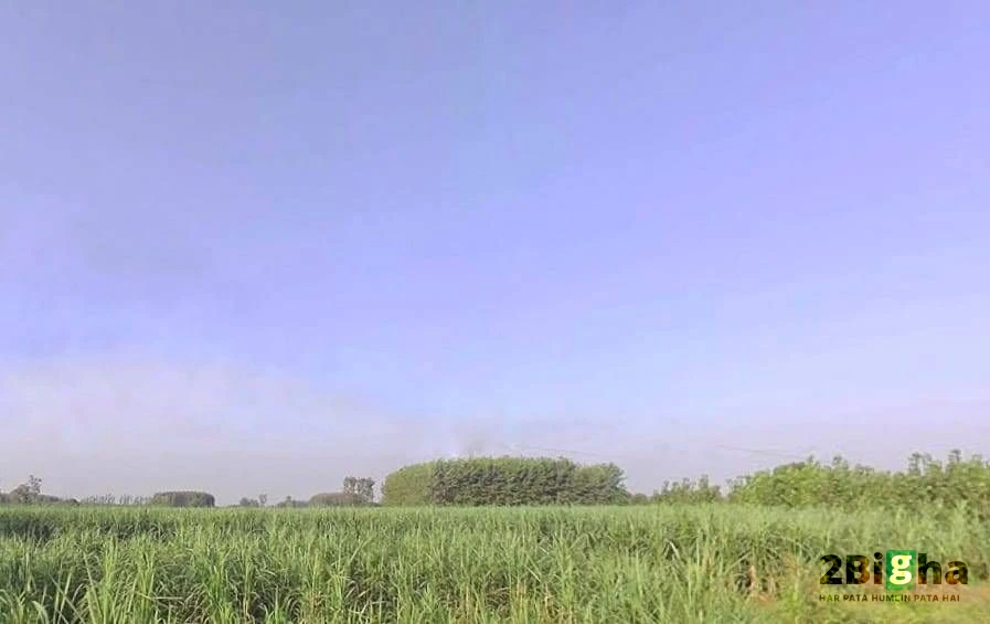 Khatauli, Uttar Pradesh 251201, India