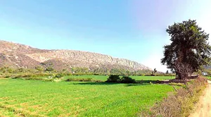 VPO, HJHV+8G2, TEH, Ranjeet Nagar, Daudpur, Tulera, Alwar, Rajasthan 301001, India preview 3