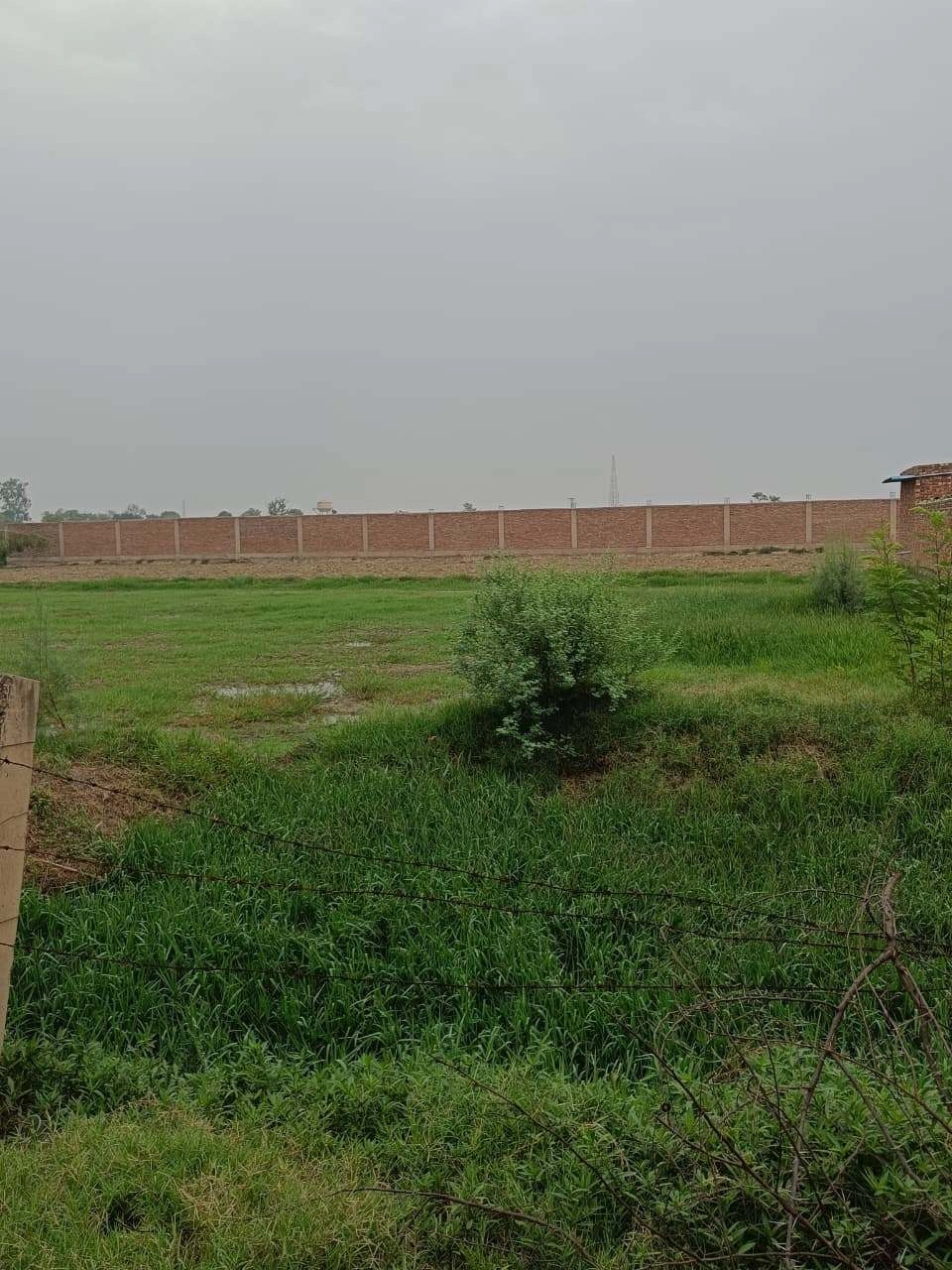 Adampur, Uttar Pradesh, India preview 3