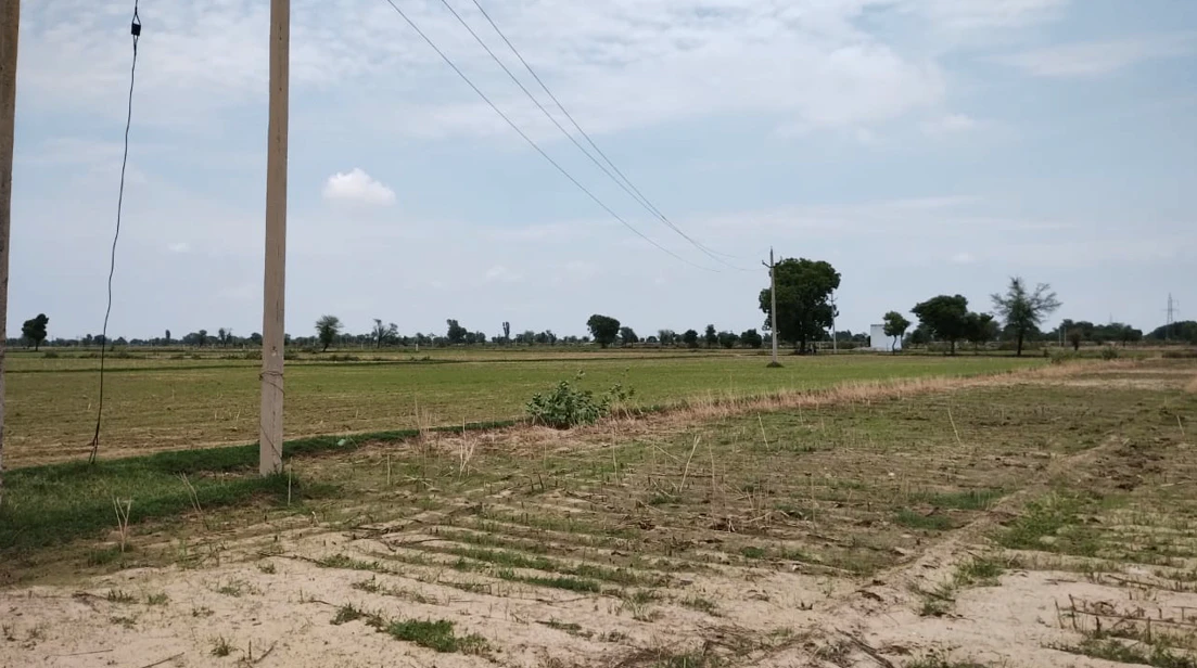 Barnagar, Madhya Pradesh 456771, India