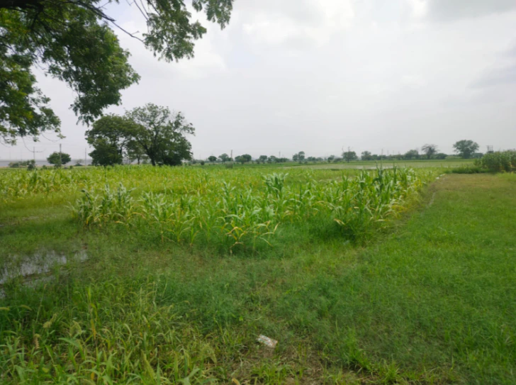 Rasulpur Rd, Old Delhi, Rasulpur, Rani Khera, Delhi, 110081, India