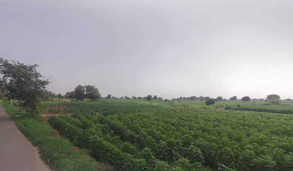 Kukrawali, Haryana, India