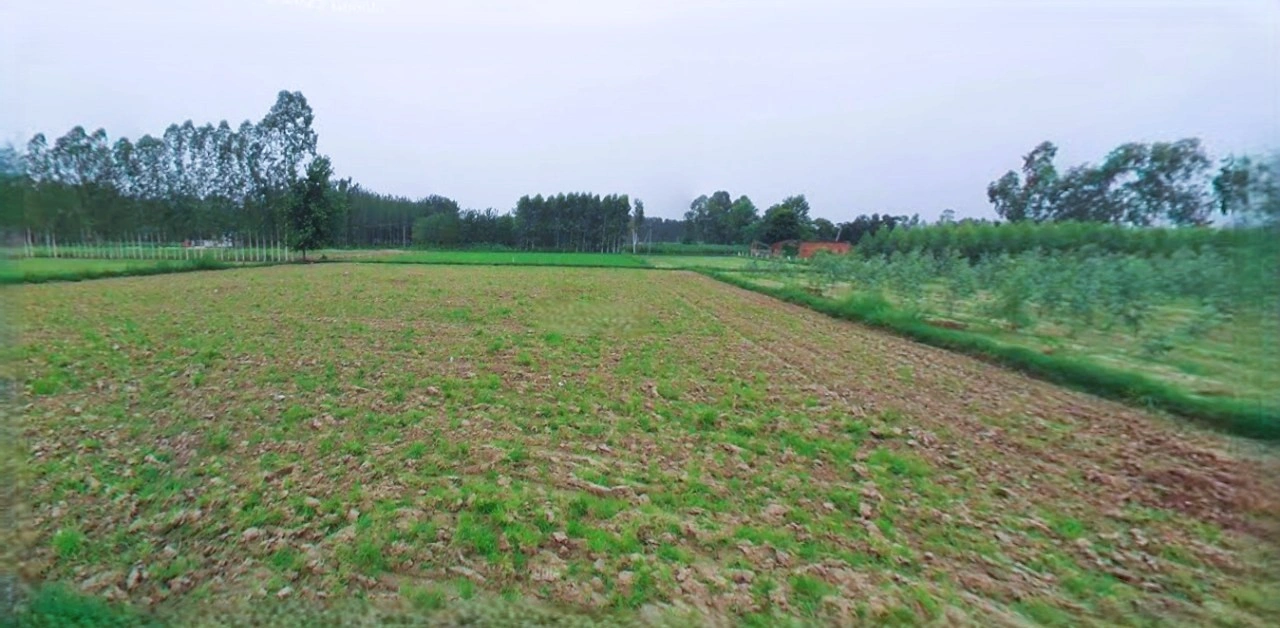 Anupgarh, Rajasthan 335701, India