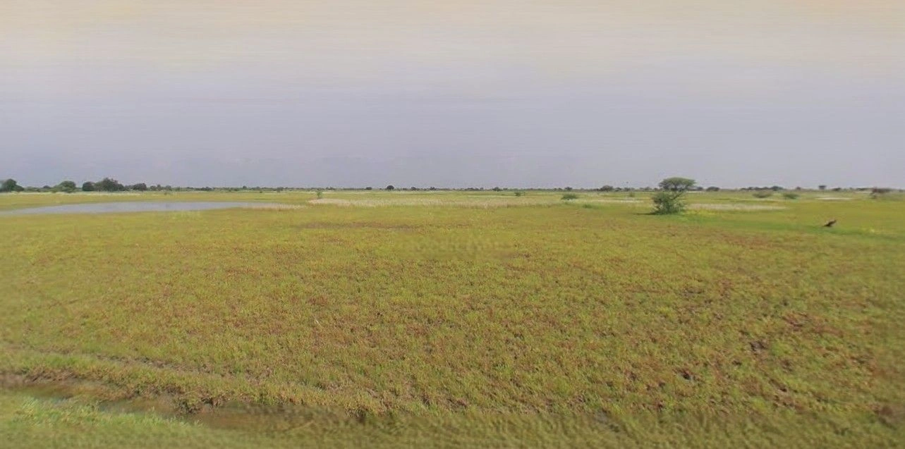 Gajraula, Uttar Pradesh, India