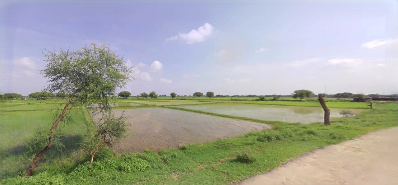 Sonipat, Haryana, India