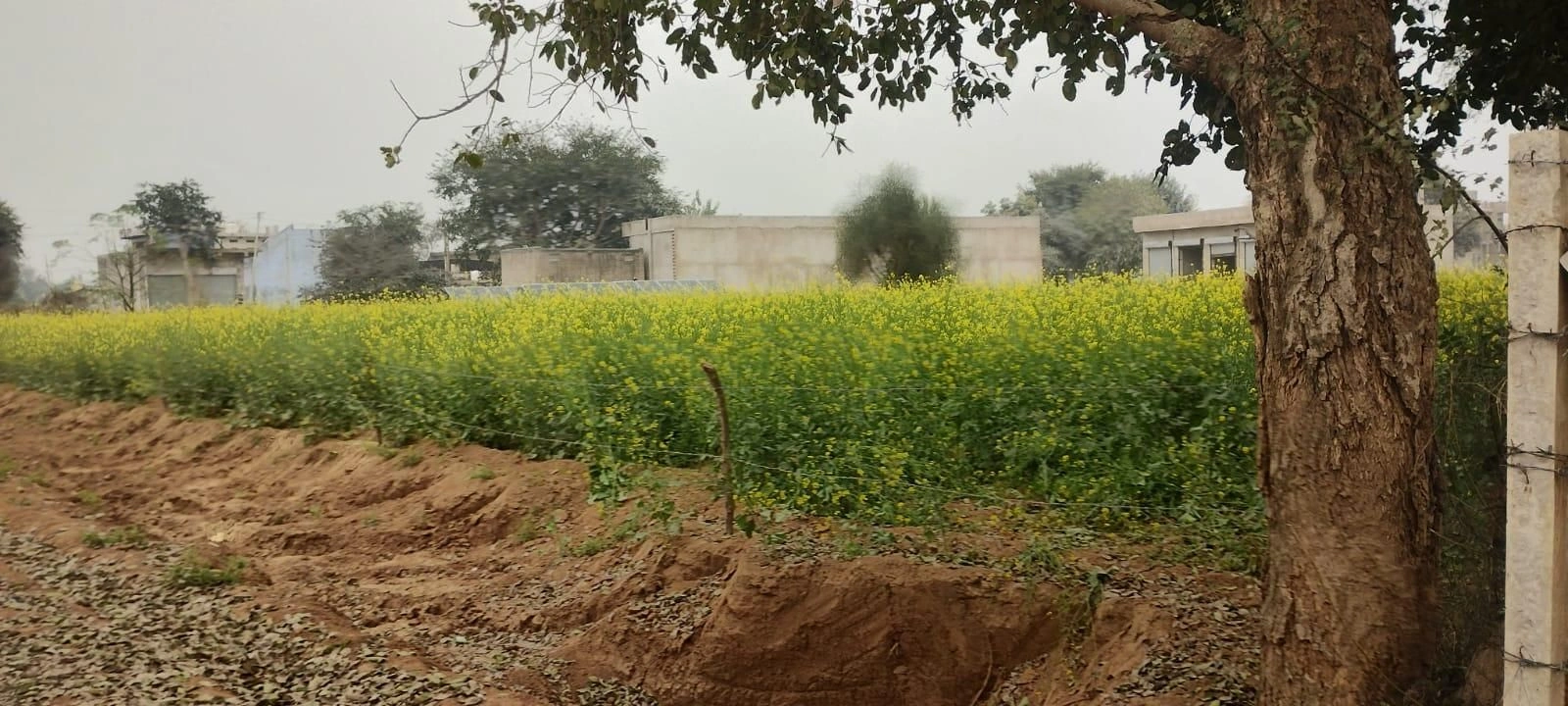 Kashipur, West Bengal 723132, India