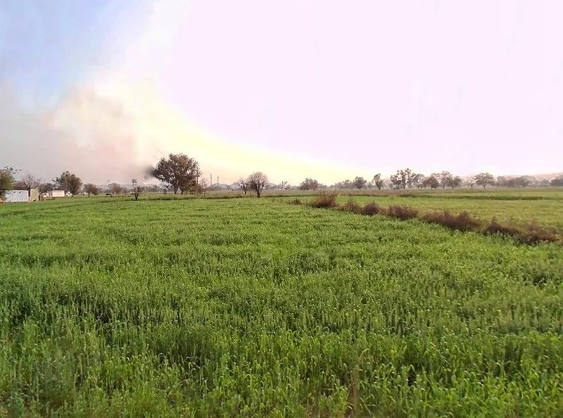 Pali, Rajasthan 301001, India preview 2