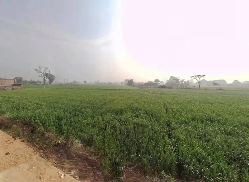 Sirmaur, Rajasthan, India preview 3