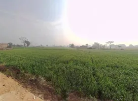 Sirmaur, Rajasthan, India preview 3